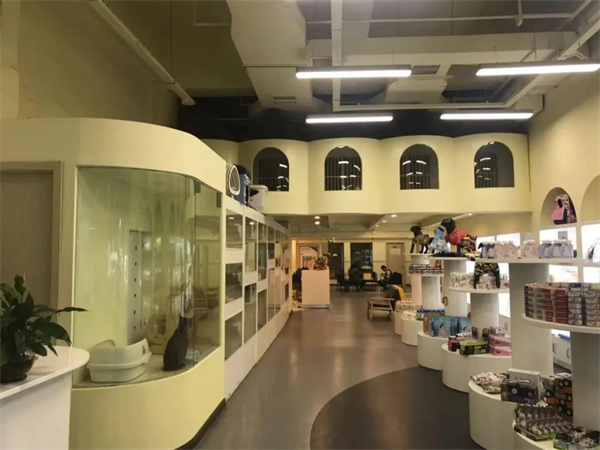 CA88集团(中国区) - 唯一官方网站