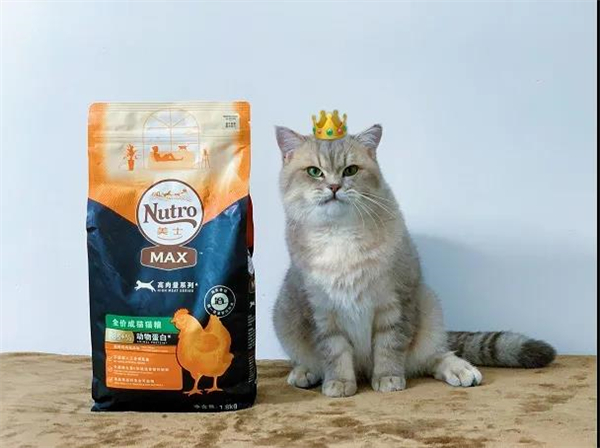 CA88集团(中国区) - 唯一官方网站