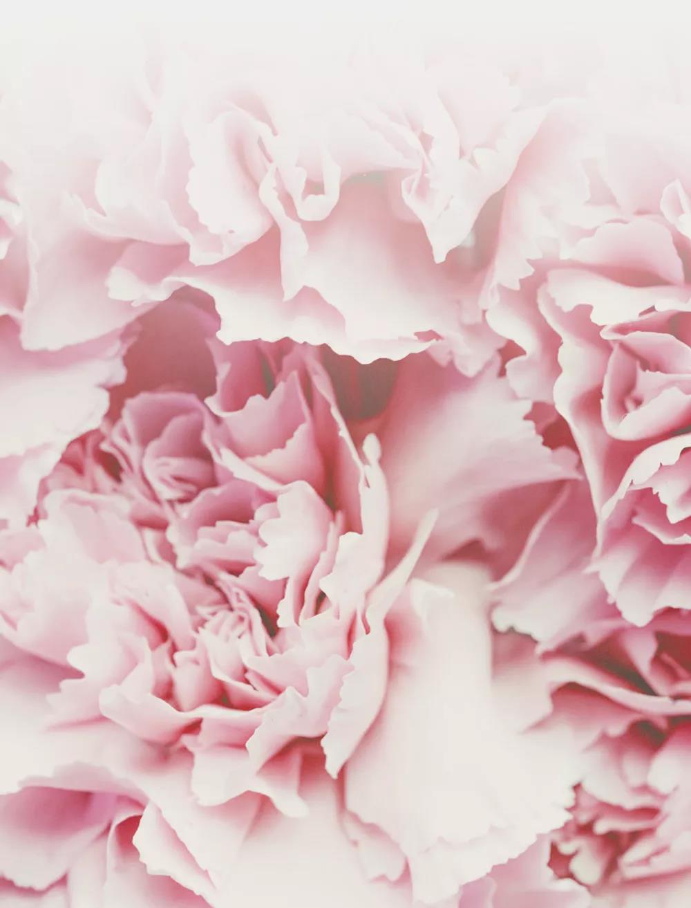 CA88集团(中国区) - 唯一官方网站