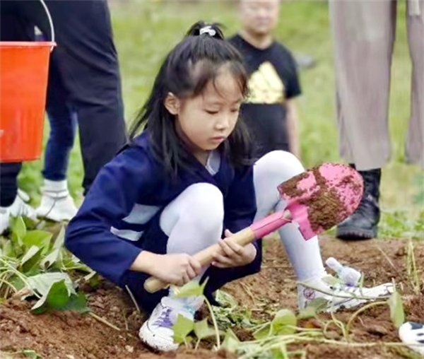 CA88集团(中国区) - 唯一官方网站