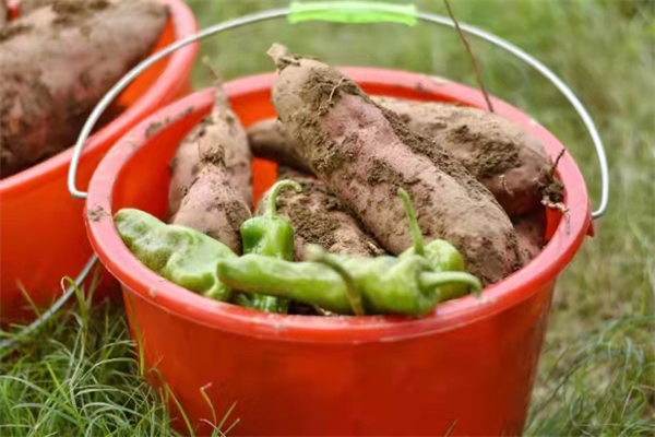 CA88集团(中国区) - 唯一官方网站