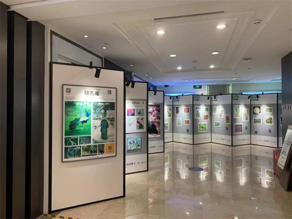 CA88集团(中国区) - 唯一官方网站