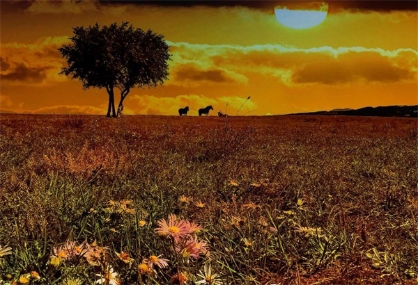 CA88集团(中国区) - 唯一官方网站