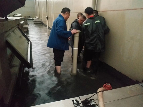 CA88集团(中国区) - 唯一官方网站