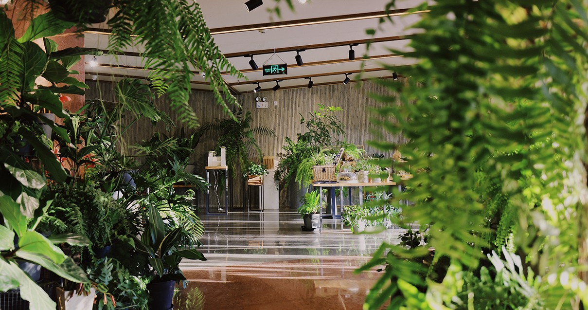 ca88官方唯一网站奥莱·滇池小镇